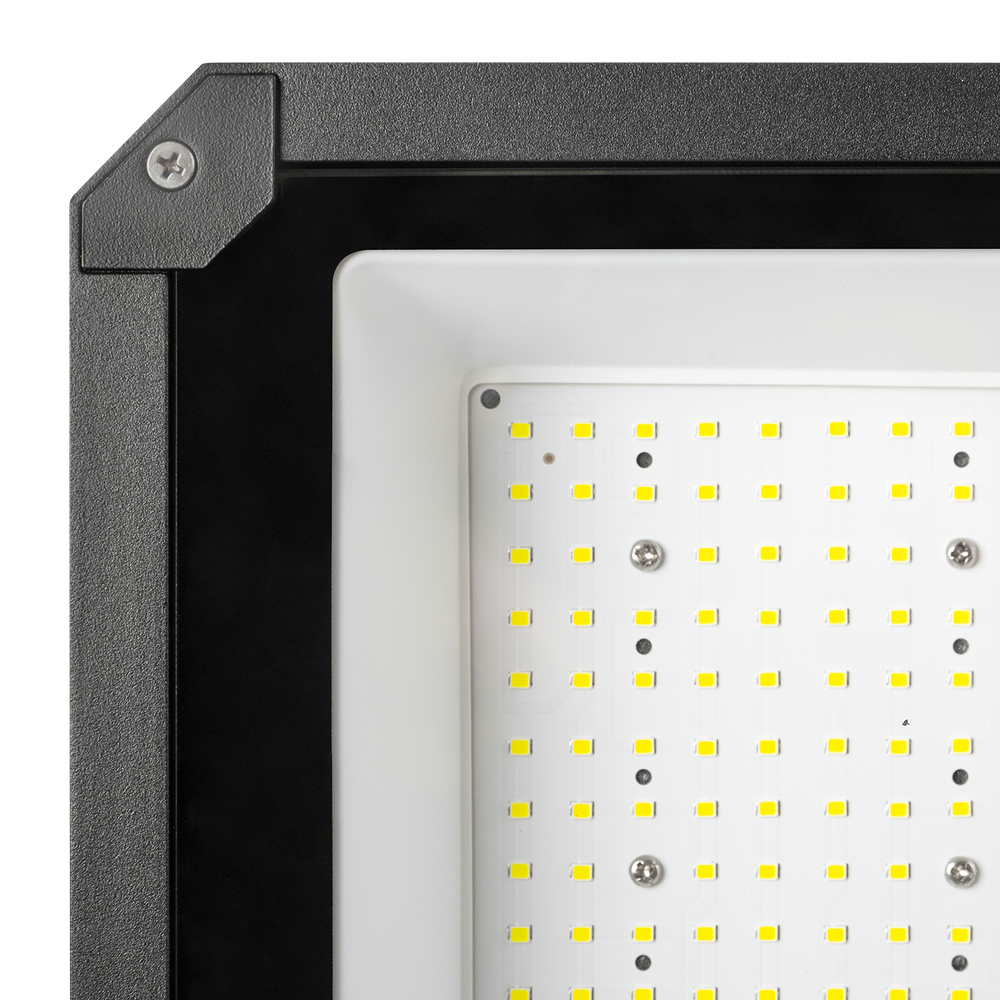 (1916-200W-90-DIM-CW_padreImg_1916_200w_90_dim_cw_3.png)