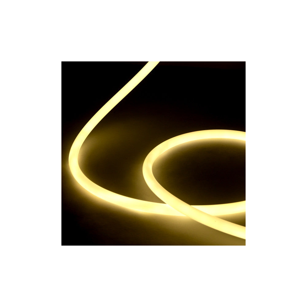 (CA-NEON360220V-CW_padreImg_ca_neon360220v_cw_1.jpeg)