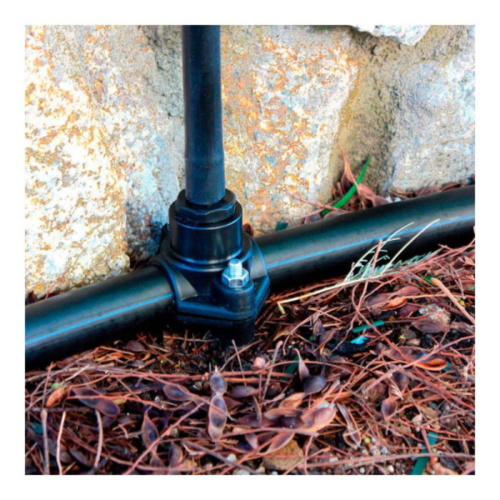 (E3-74494_padreImg_e3_74494_1.jpeg)