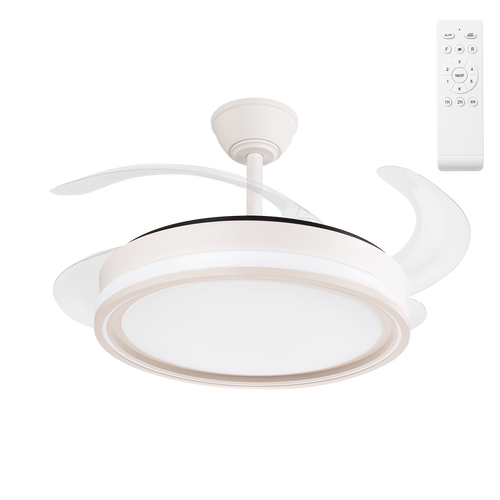 (FA-HOL1_padreImg_fa_hol1_0.png)