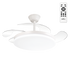 (FA-HOL2_padreImg_fa_hol2_0.png)