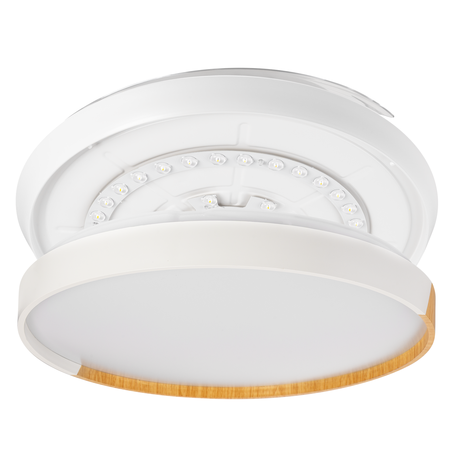 (FA-HOL3_padreImg_fa_hol3_3.png)