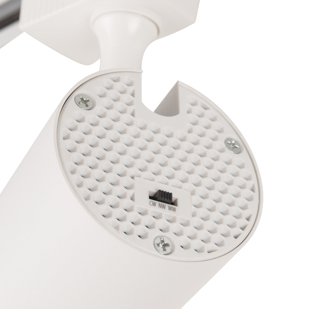 (1916-TL-30W-M-CCT_padreImg_1916_tl_30w_m_cct_1.jpeg)