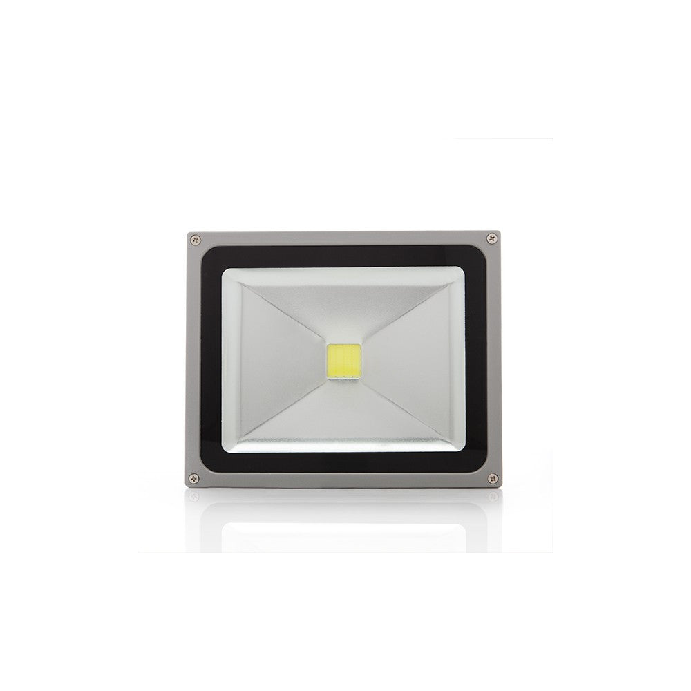 (JWSFL501224-0001_padreImg_jwsfl501224_0001_2.jpeg)