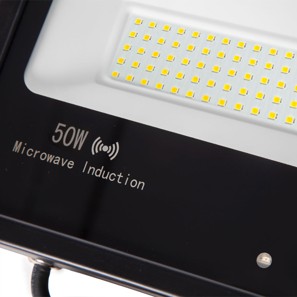 (1916-NS-HVFL50W-L-CW_padreImg_1916_ns_hvfl50w_l_cw_3.jpeg)