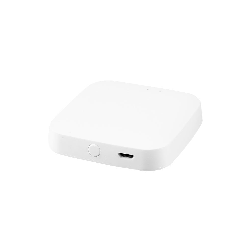 (1916-GATE-ZB_padreImg_1916_gate_zb_0.jpeg)