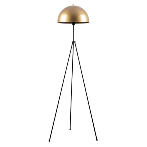 (OPV-521SHN1528_padreImg_opv_521shn1528_0.jpeg)