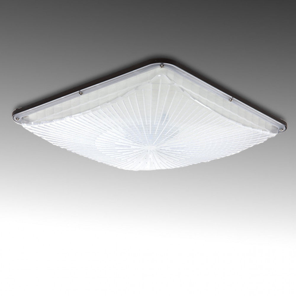 (CP01-XX04-CW_padreImg_cp01_xx04_cw_0.jpeg)