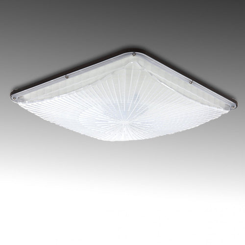 (CP01-XX04-CW_padreImg_cp01_xx04_cw_0.jpeg)