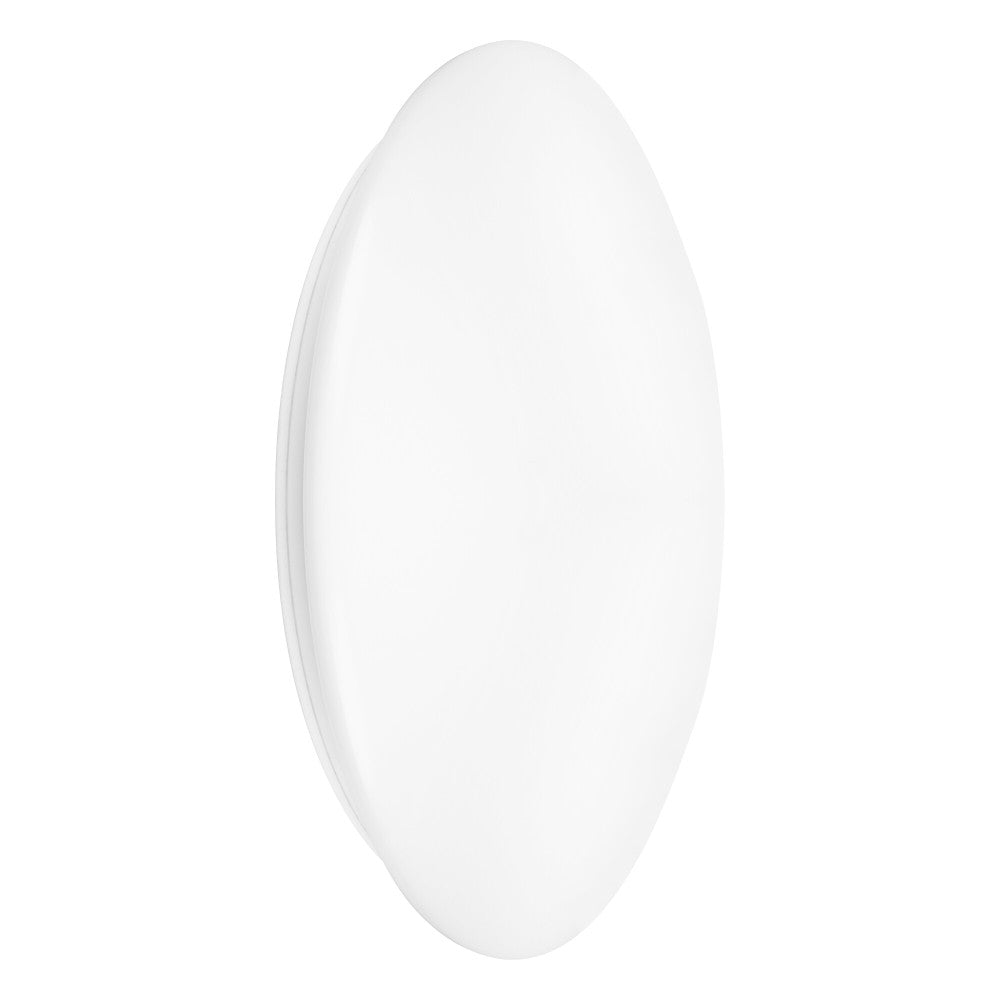 (LVE-4099854042157_padreImg_lve_4099854042157_0.jpeg)