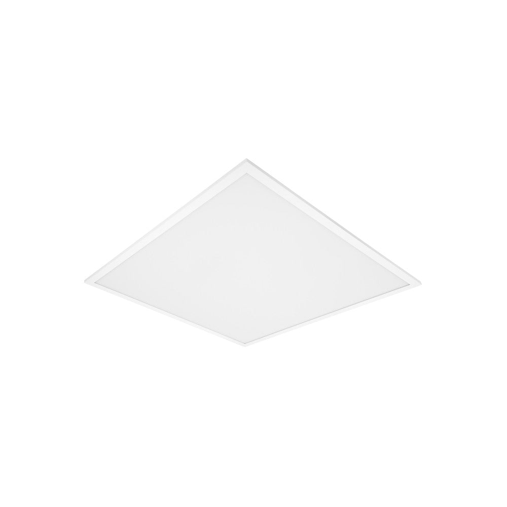 (LVE-4058075386709_padreImg_lve_4058075386709_0.jpeg)