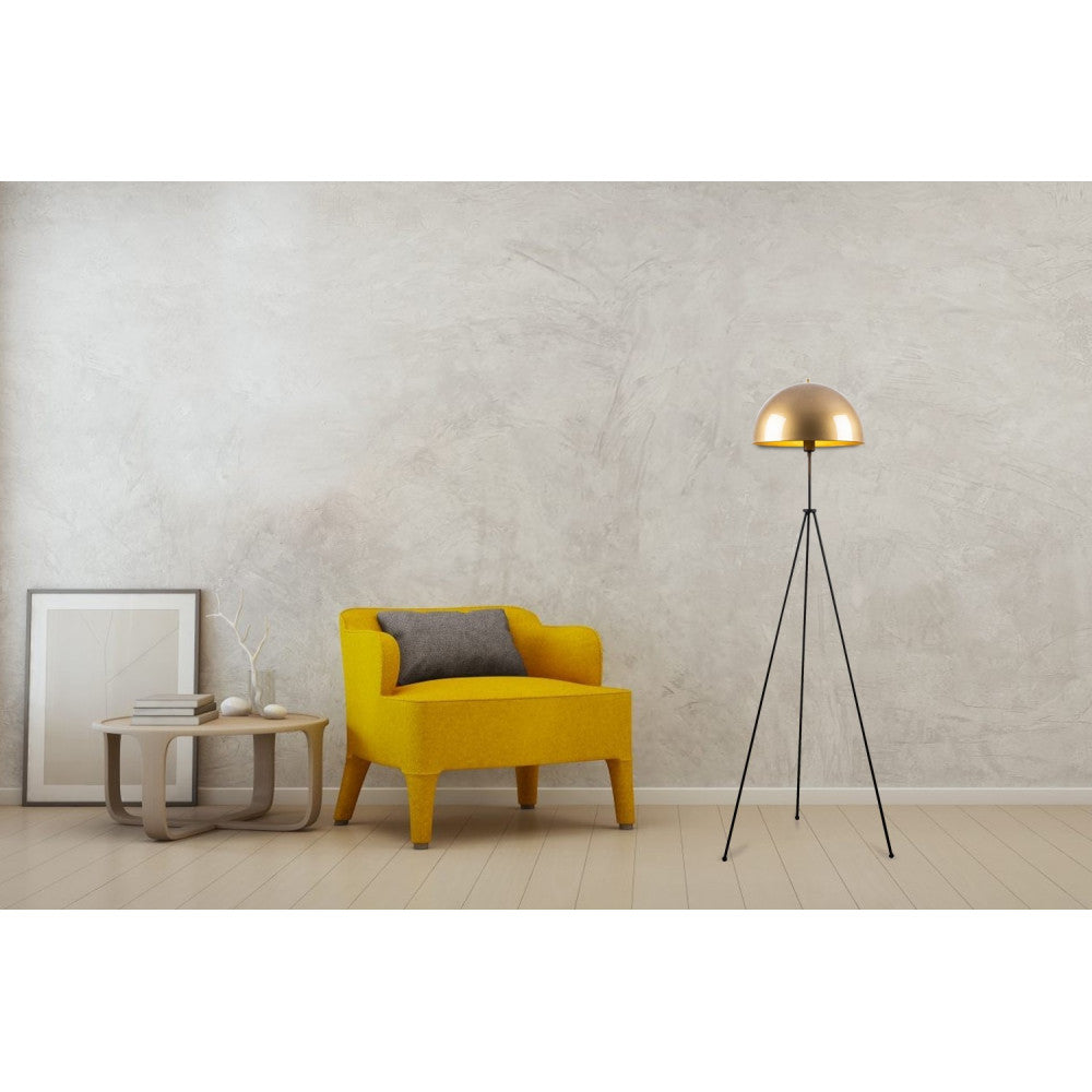 (OPV-521SHN1528_padreImg_opv_521shn1528_2.jpeg)