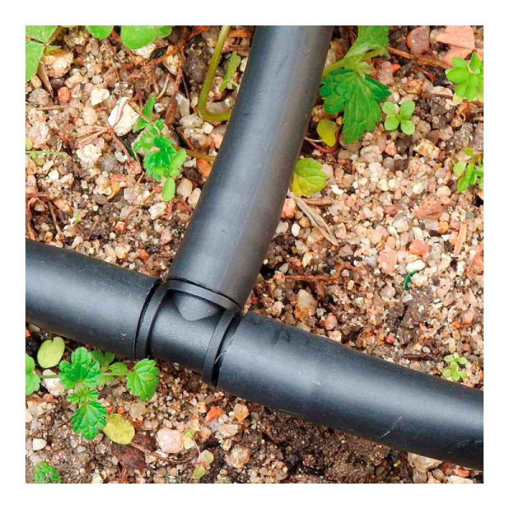 (E3-74501_padreImg_e3_74501_1.jpeg)