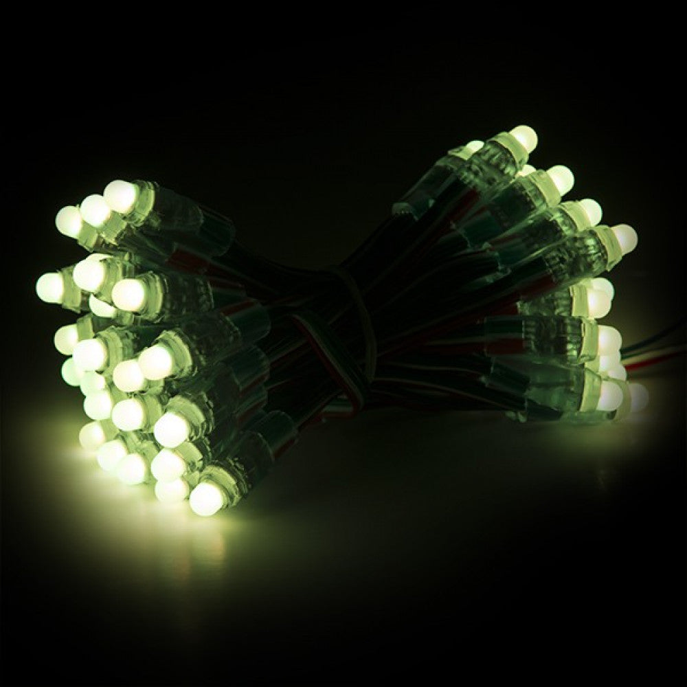 (DE-PIX-12-RGB_padreImg_de_pix_12_rgb_6.jpeg)