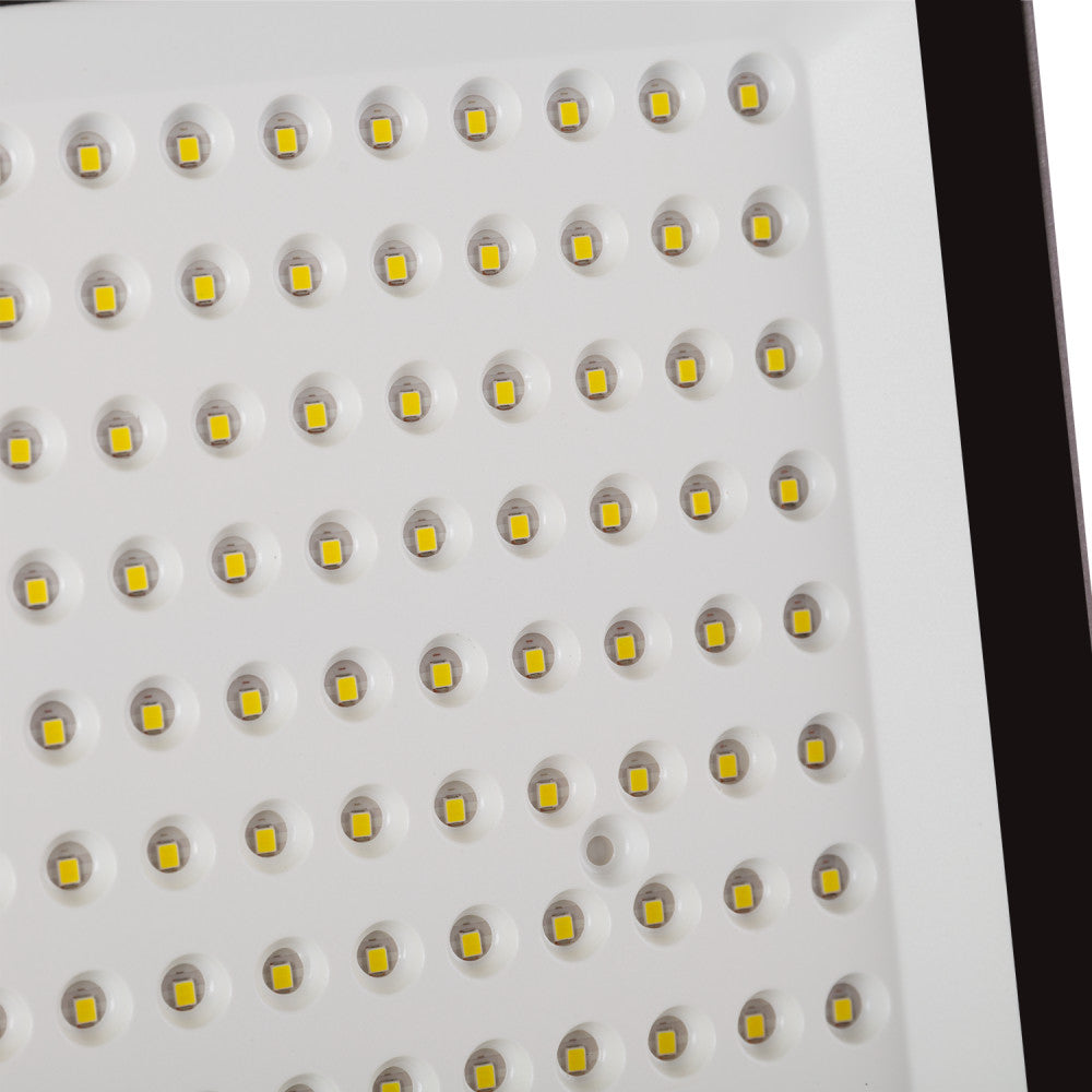 (1916-FL-EC-150W-CW_padreImg_1916_fl_ec_150w_cw_1.jpeg)