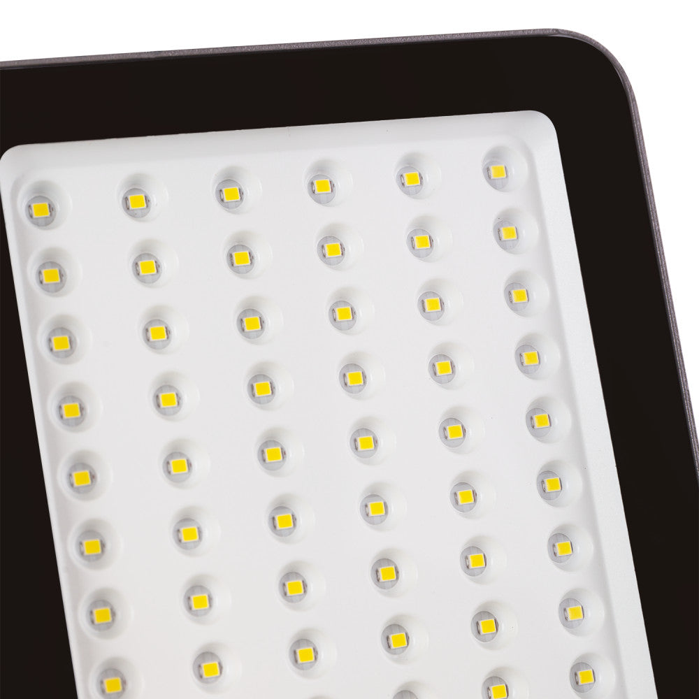 (1916-FL-EC-50W-CW_padreImg_1916_fl_ec_50w_cw_1.jpeg)