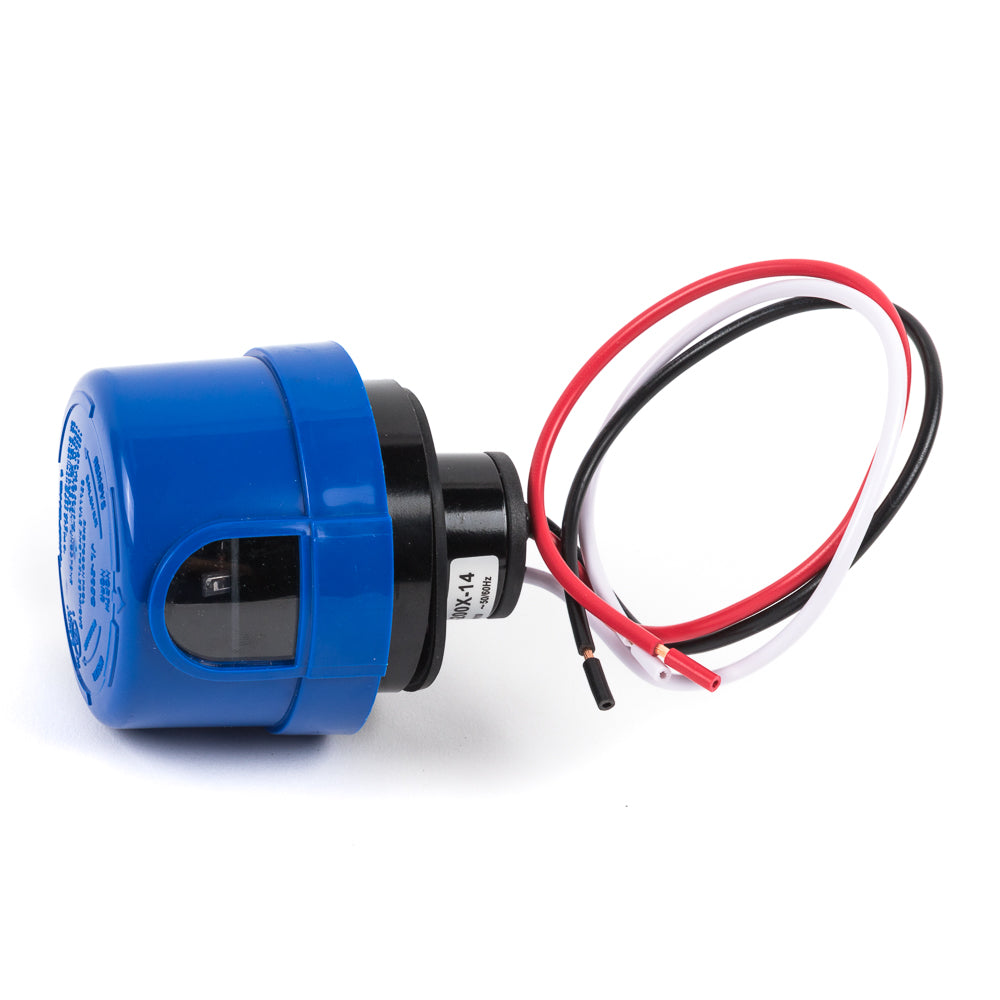 (1916-SC-AP_padreImg_1916_sc_ap_0.jpeg)