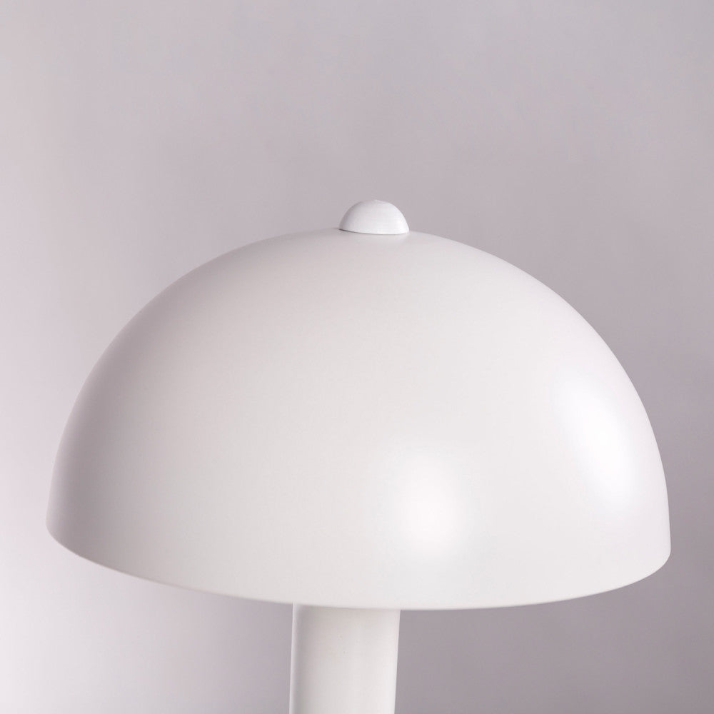 (SKD-T1007_padreImg_skd_t1007_3.jpeg)