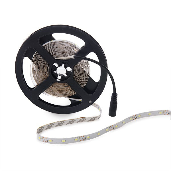 (PL219001W_padreImg_pl219001w_1.jpeg)