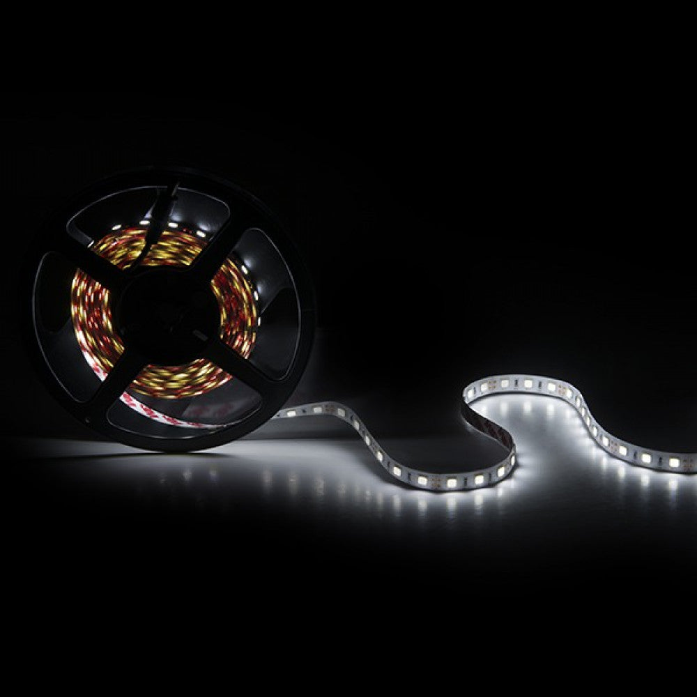 (WM-5252-300-CW_padreImg_wm_5252_300_cw_0.jpeg)