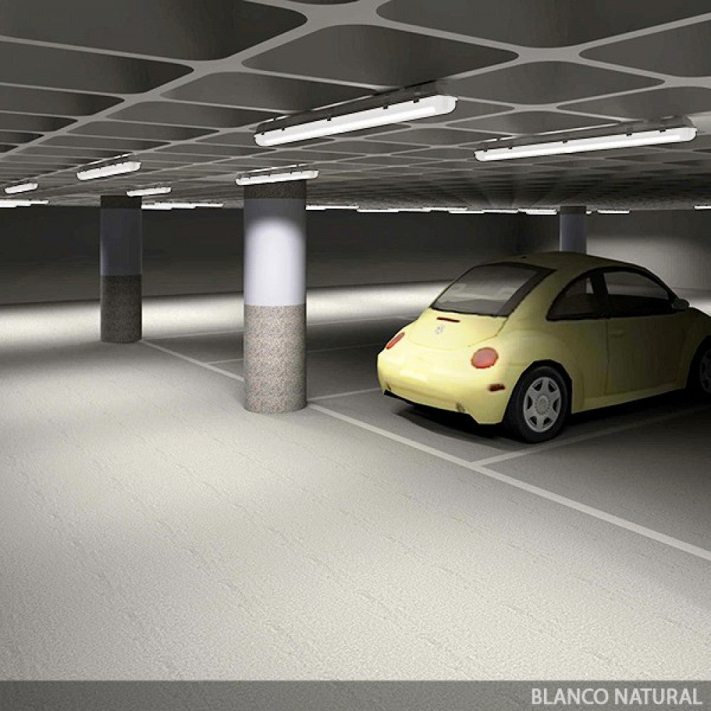 (HO-T8RDDG18W-CW-O_padreImg_ho_t8rddg18w_cw_o_4.jpeg)