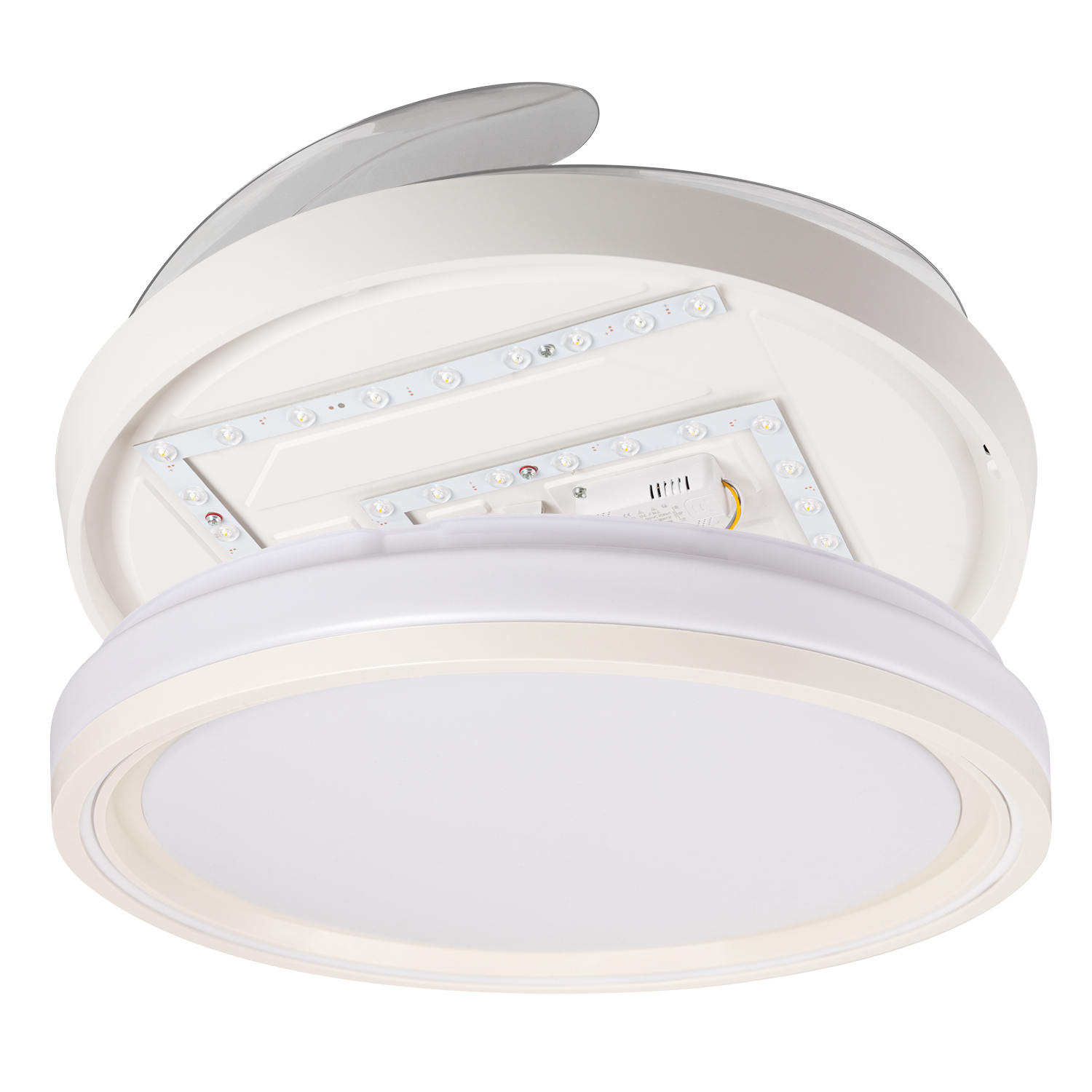 (FA-HOL1_padreImg_fa_hol1_3.png)