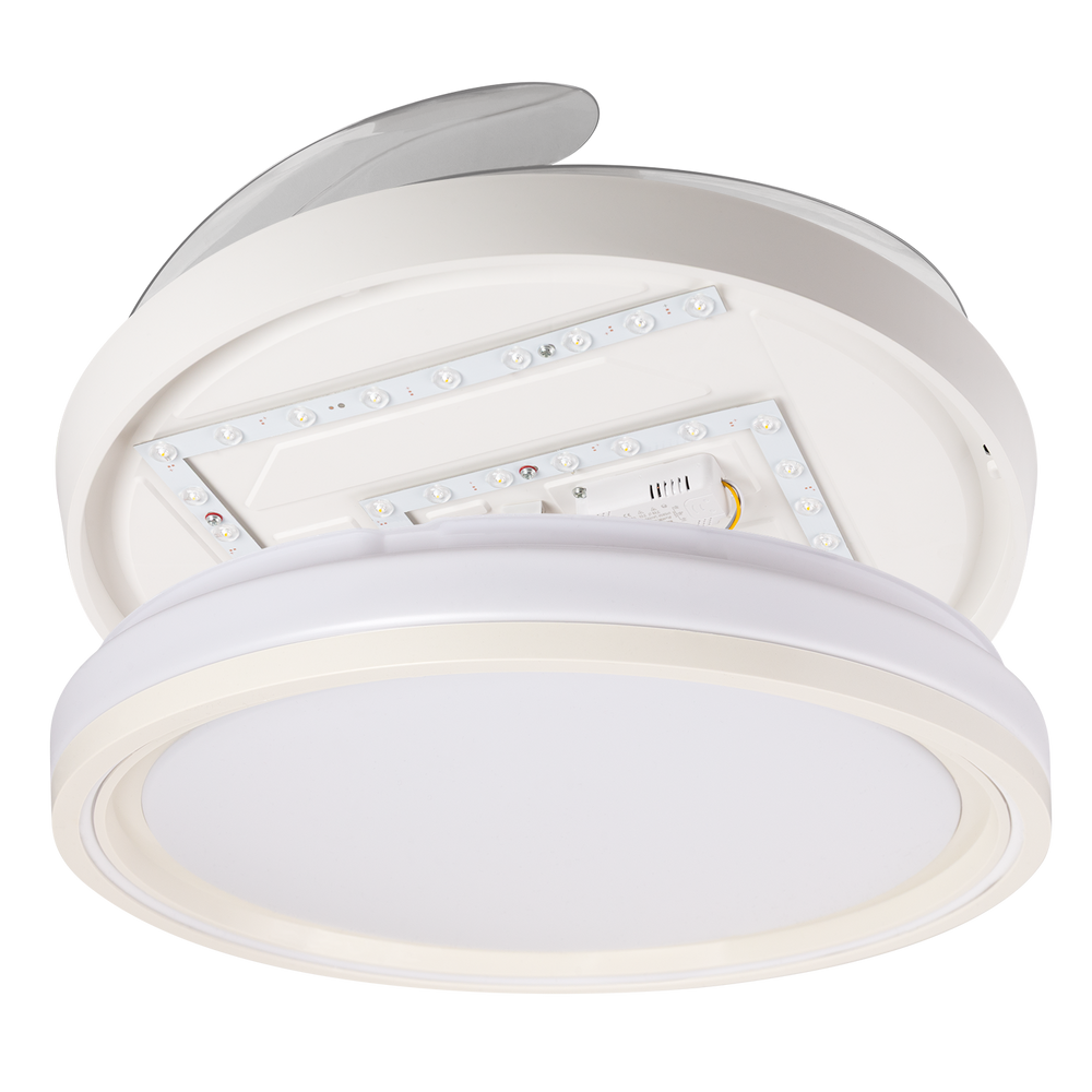 (FA-HOL1_padreImg_fa_hol1_3.png)