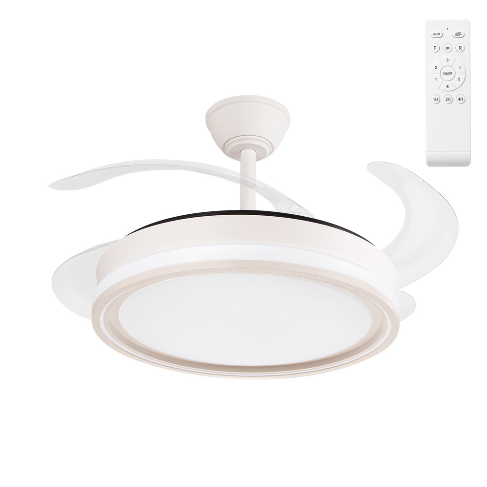 (FA-HOL1_padreImg_fa_hol1_0.png)