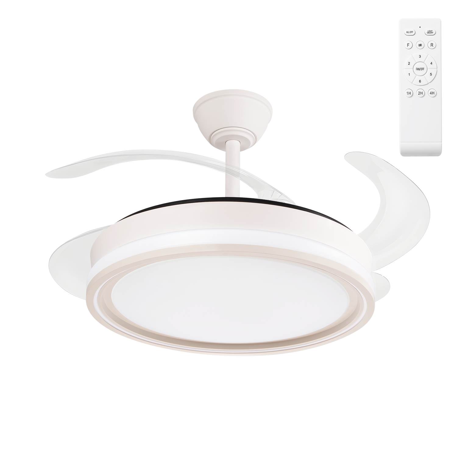 (FA-HOL1_padreImg_fa_hol1_0.png)