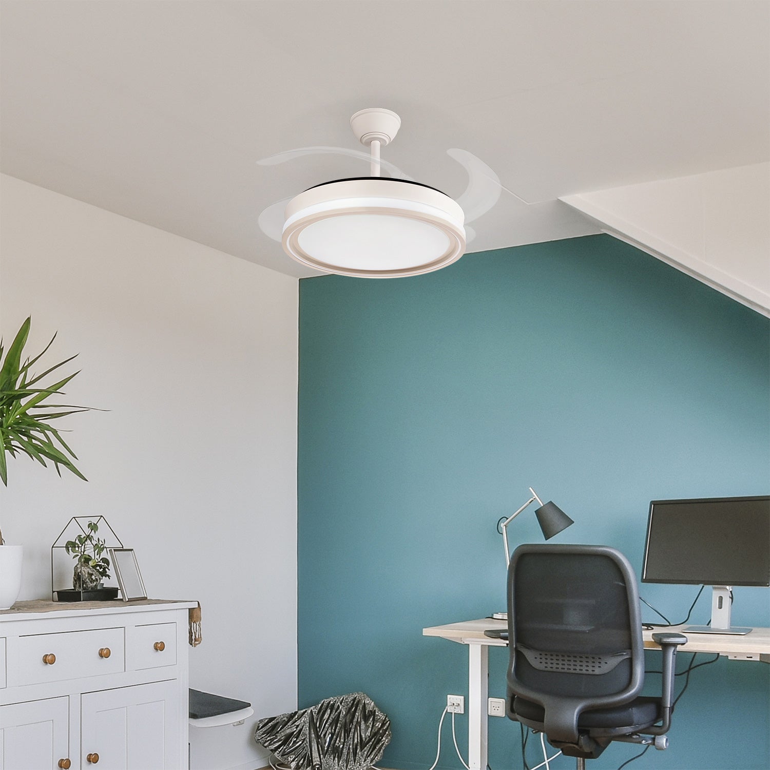 (FA-HOL1_padreImg_fa_hol1_7.jpeg)