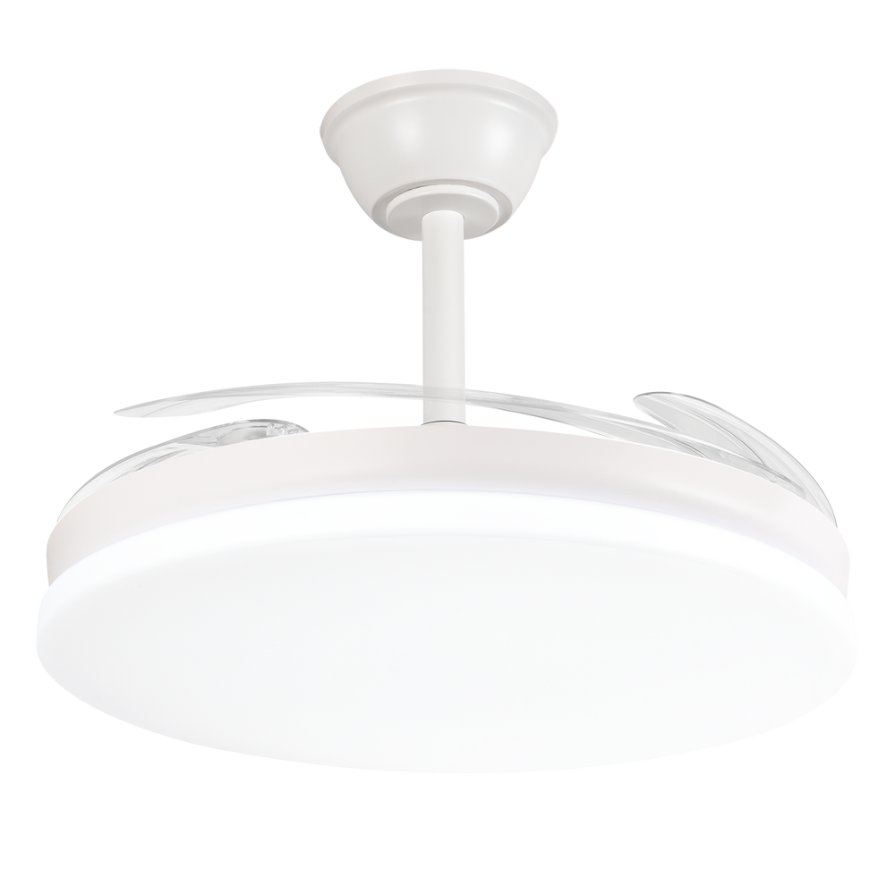 (FA-HOL2_padreImg_fa_hol2_1.png)