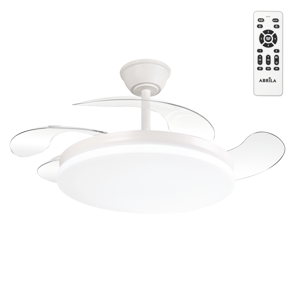 (FA-HOL2_padreImg_fa_hol2_0.png)