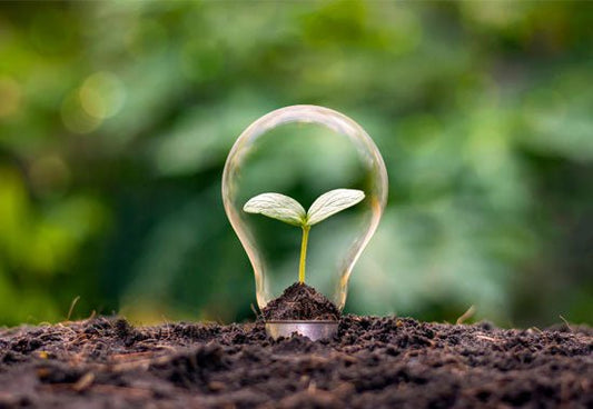 Reciclaje de Bombillas LED: todo lo que necesitas saber