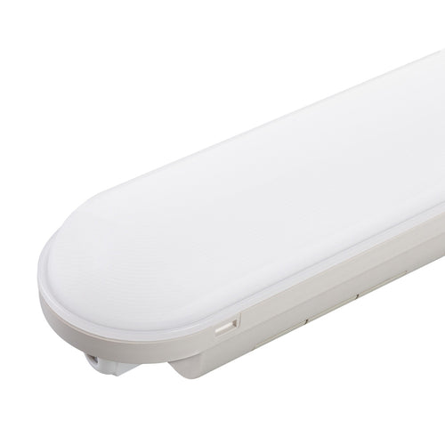 (1916-TPL18W-A-CW_padreImg_1916_tpl18w_a_cw_0.jpeg)