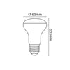 (ASAL-0066_ASAL-0067_variantImg_asal_0067_2.jpeg)