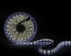 (CA-5050-12VCWWW-IP25_padreImg_ca_5050_12vcwww_ip25_0.png)