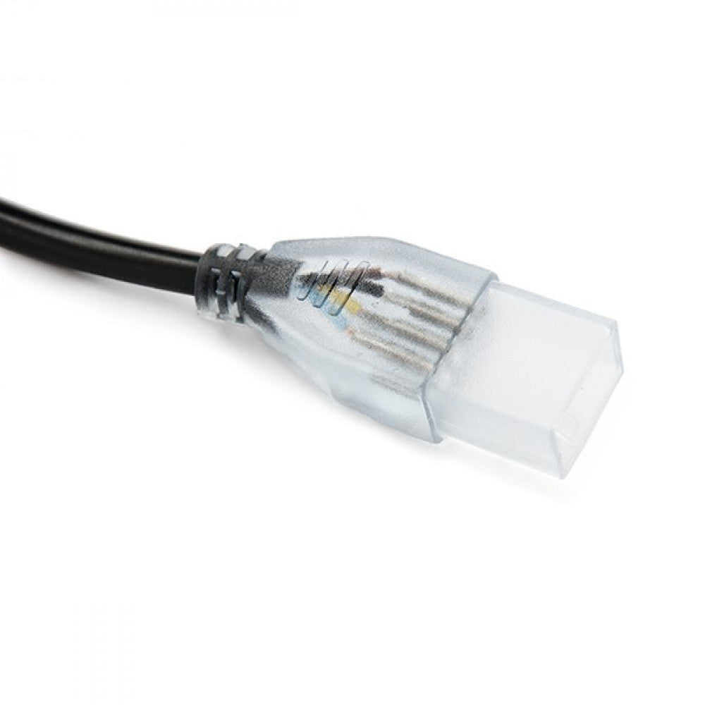 (HO-CON220RGBMD_padreImg_ho_con220rgbmd_2.jpeg)