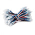 (DE-PIX-12-RGB_padreImg_de_pix_12_rgb_0.jpeg)
