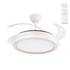 (FA-HOL1_padreImg_fa_hol1_0.png)