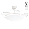 (FA-HOL2_padreImg_fa_hol2_0.png)