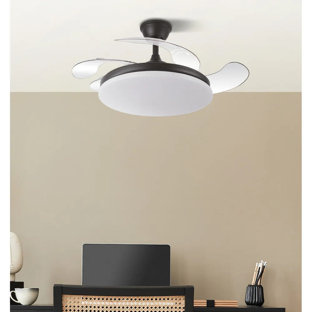 (FA-HOL5_padreImg_fa_hol5_1.jpeg)