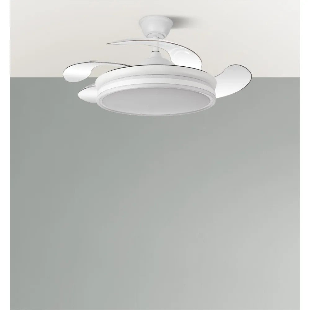 (FA-HOL6_padreImg_fa_hol6_1.jpeg)