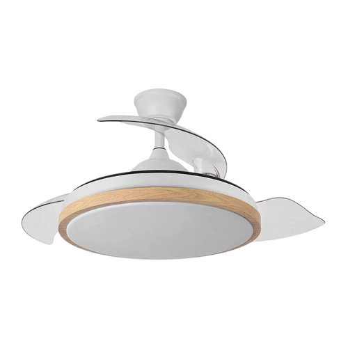 (FA-HOL8_padreImg_fa_hol8_0.png)