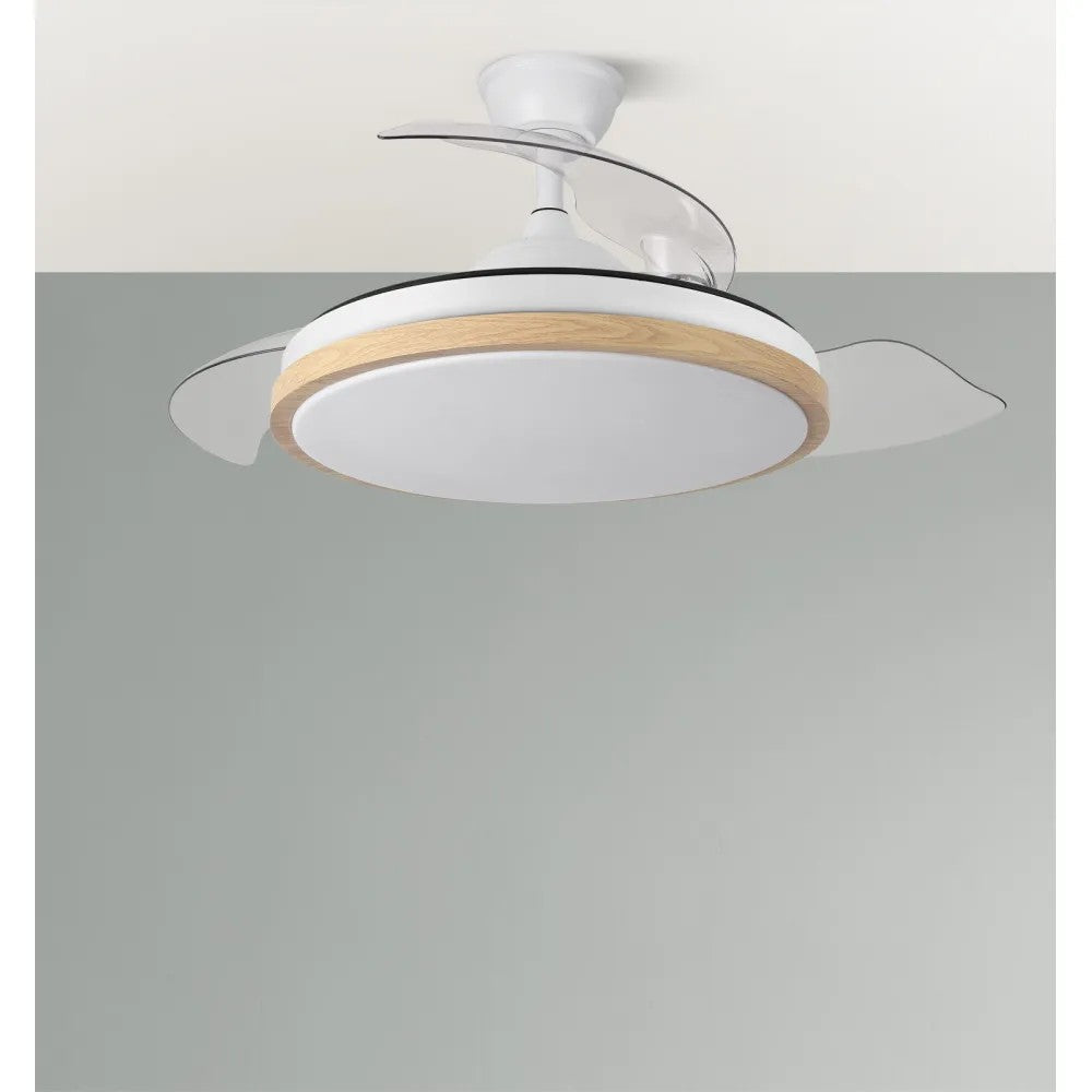 (FA-HOL8_padreImg_fa_hol8_1.jpeg)