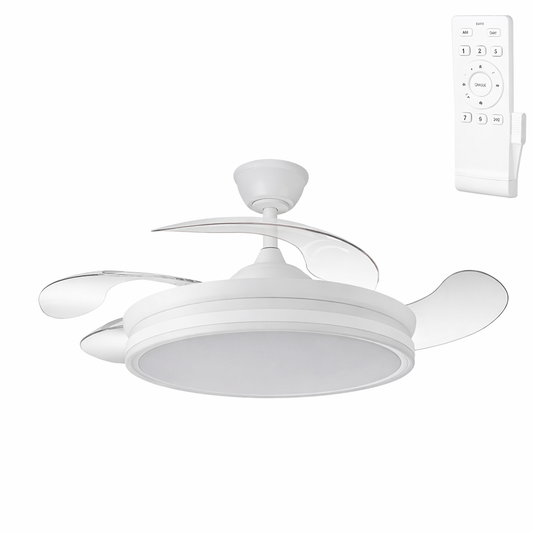 (GI-FAN11-CCT_padreImg_gi_fan11_cct_0.png)