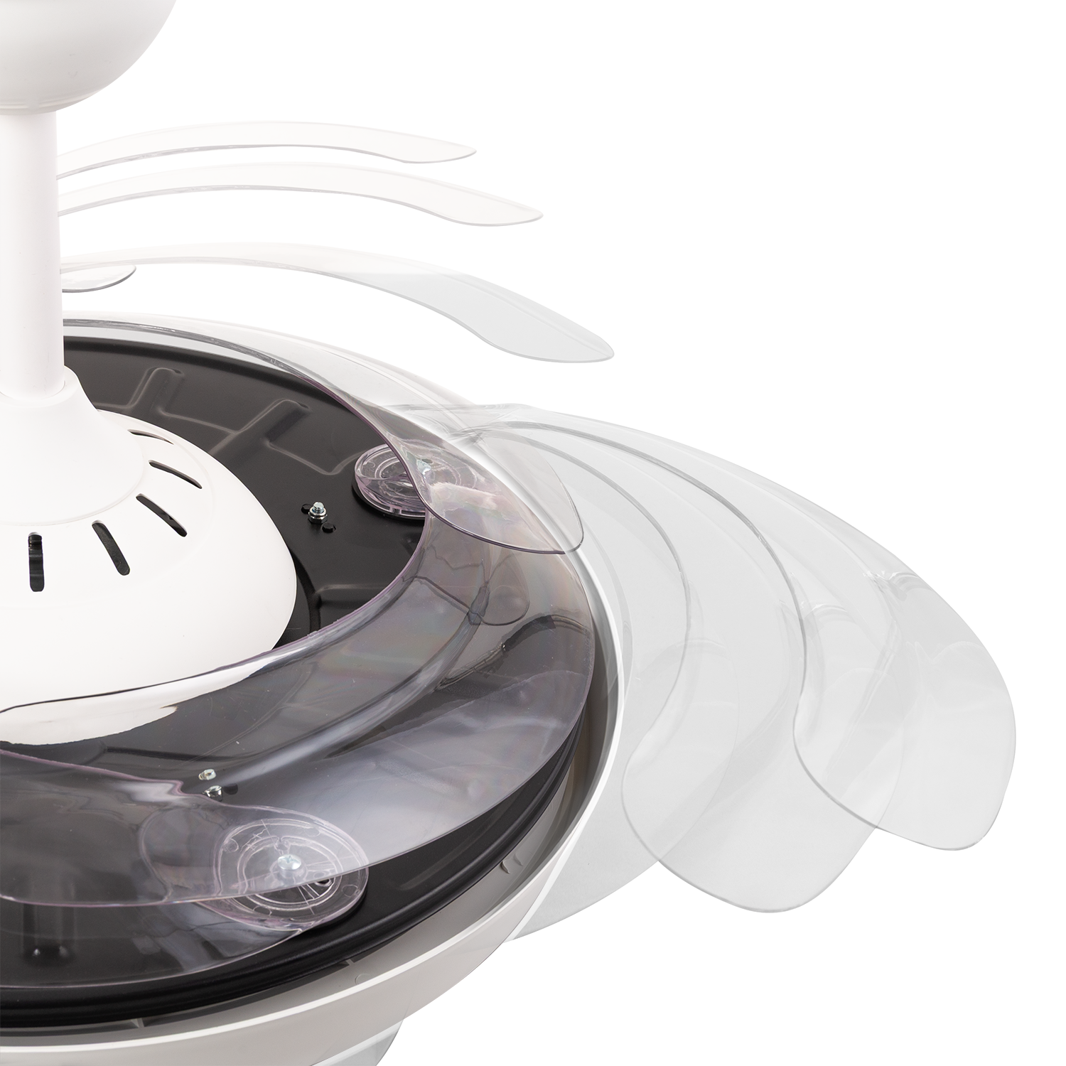 (GI-FAN1-CCT_padreImg_gi_fan1_cct_2.png)