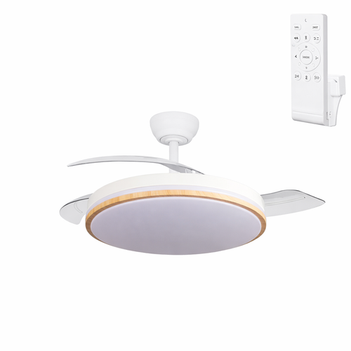 (GI-FAN5-CCT_padreImg_gi_fan5_cct_0.png)