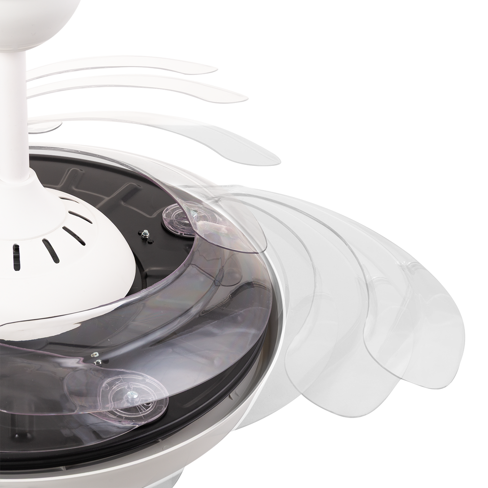 (GI-FAN8-CCT_padreImg_gi_fan8_cct_2.png)