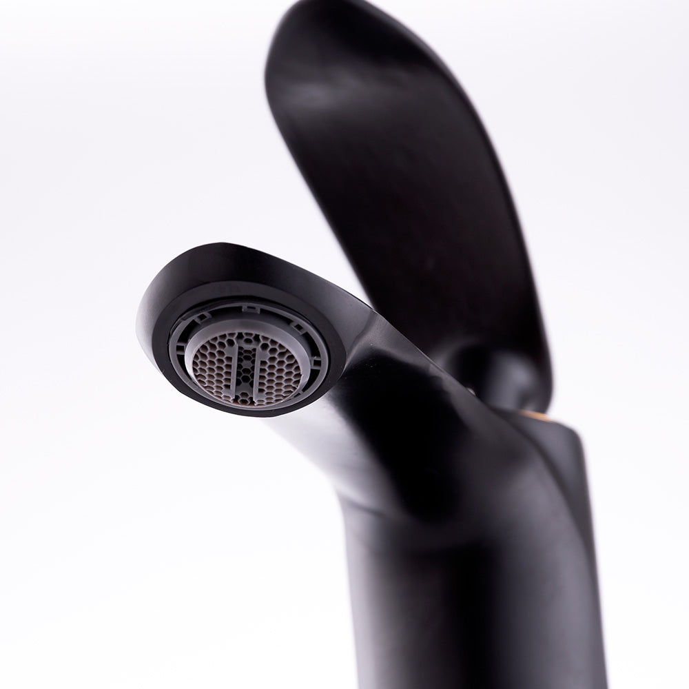 (QLI-FA979_padreImg_qli_fa979_0.jpeg)