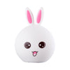 (HO-BABYRABBIT-WW-CW_padreImg_ho_babyrabbit_ww_cw_0.jpeg)